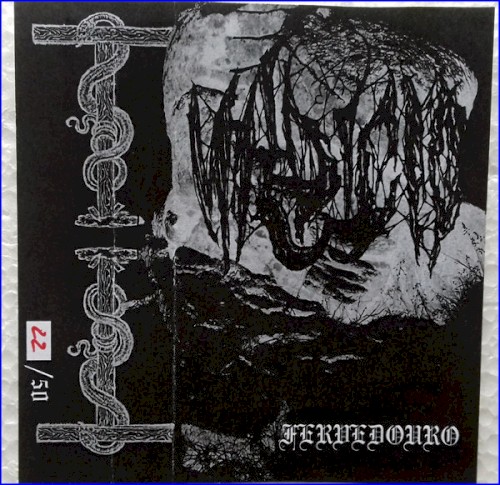 Fervedouro