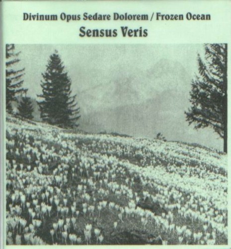Sensus Veris