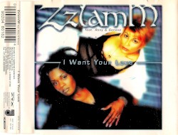 I Want Your Love