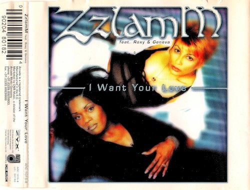 I Want Your Love