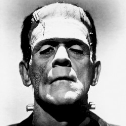 Mary Shelley’s Frankenstein