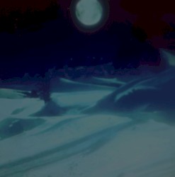 Nocturnal Dementia