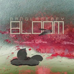 Bloom