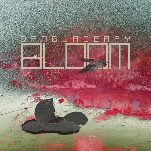 Bloom
