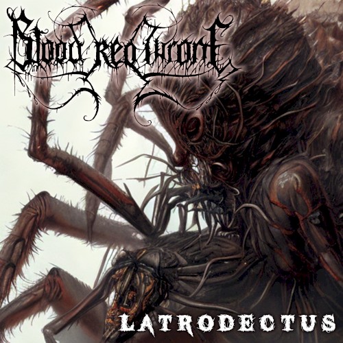 Latrodectus