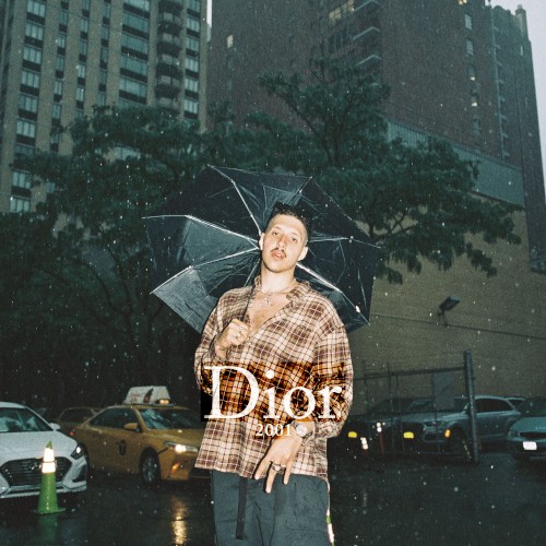Dior 2001