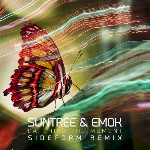 Catching the Moment (Sideform remix)