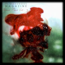 Blood Pack, Vol. 2