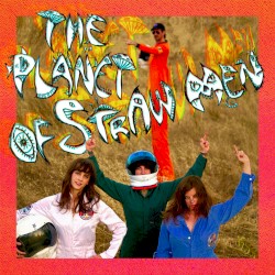 The Planet of Straw Men