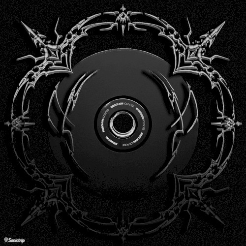 ACiD NOiSE