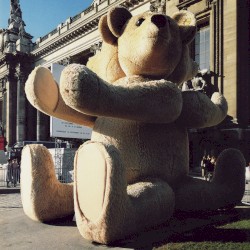 Godbear