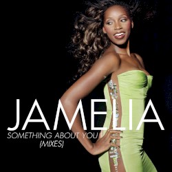 Something About You (Mixes)