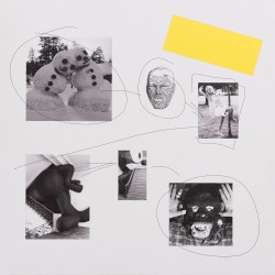 Whities 007