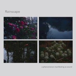 Rainscape