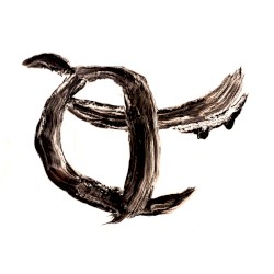 CARM II