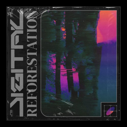 Digital Reforestation
