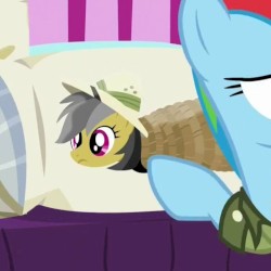 Daring Doo Doo