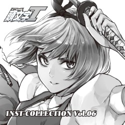 TOHO INST-COLLECTION Vol.06