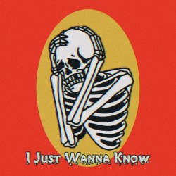 I Just Wanna Know