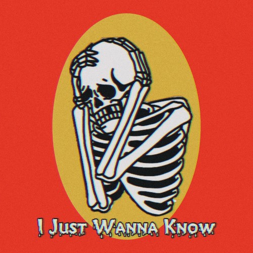 I Just Wanna Know
