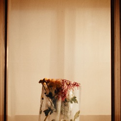 Fleurs