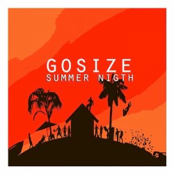 Summer Nigth