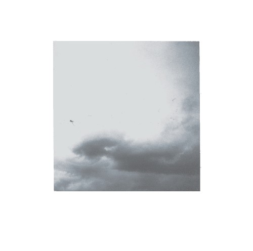 When the Sky Is a Mild Gray