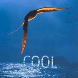 Cool 1