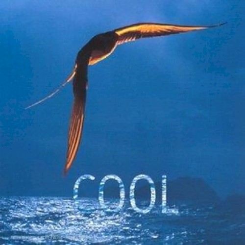 Cool 1