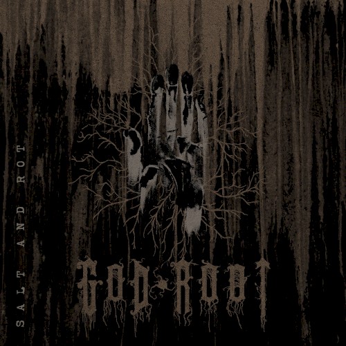Salt and Rot