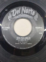 Seis pies abajo / No es culpa mia