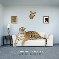 Cheetah in the City
