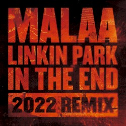 In the End (2022 Malaa remix)