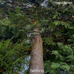Nesting