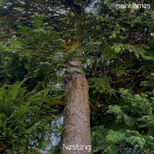 Nesting