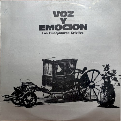 Voz y emoción