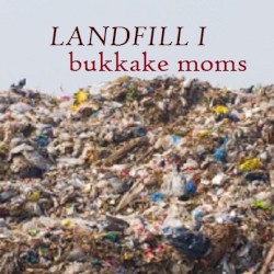 Landfill I