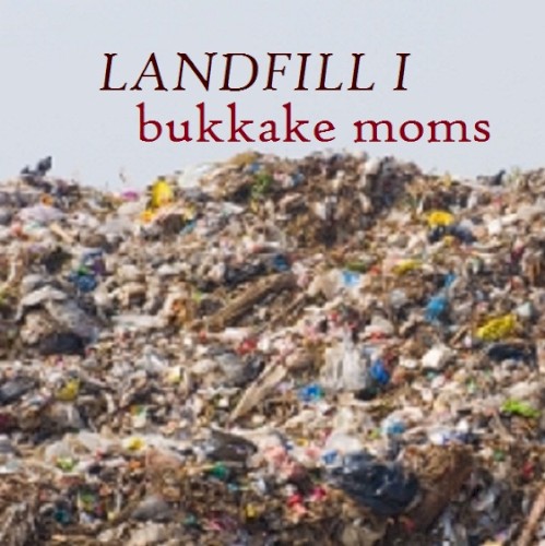 Landfill I