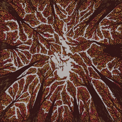 Crown Shyness