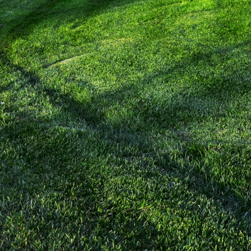 Mother Nature