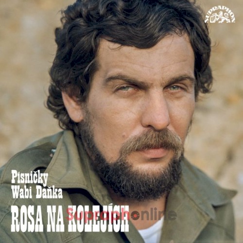 Rosa na kolejích