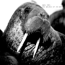 The Walrus EP in Grey