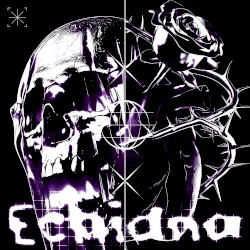 echidna