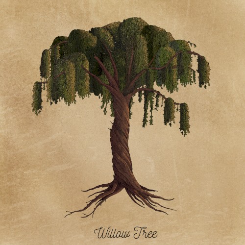 Willow Tree