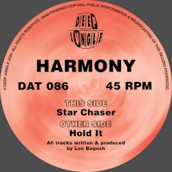 Hold It / Star Chaser