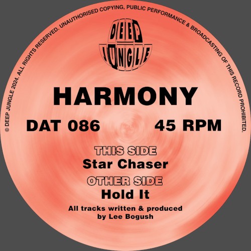 Hold It / Star Chaser