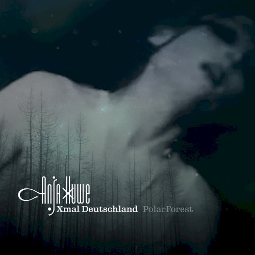 PolarForest