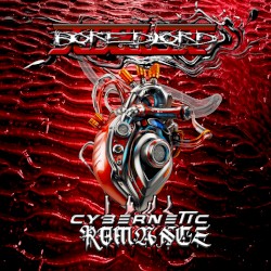 Cybernetic Romance