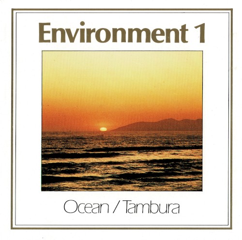 Environment 1