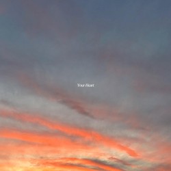 Your Heart
